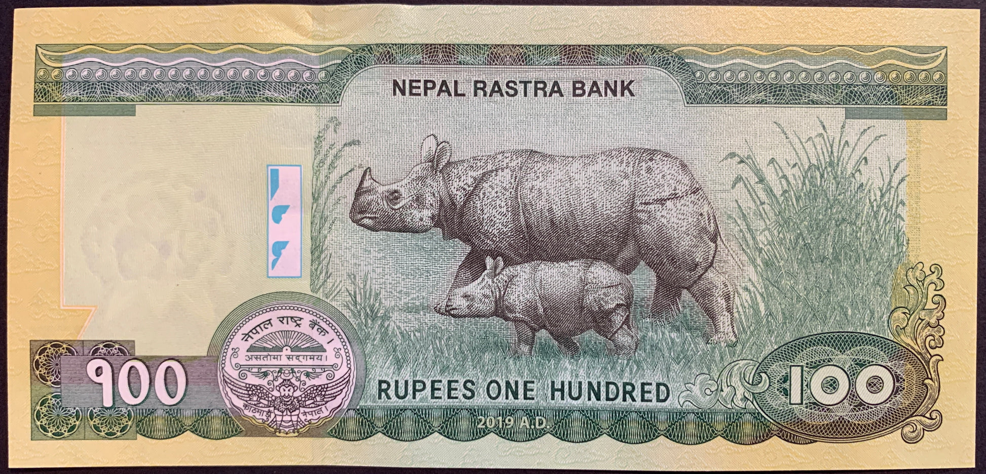 back of Nepal 100 Rupees 2019 P-80b collectible banknote with Indian Rhinoceros