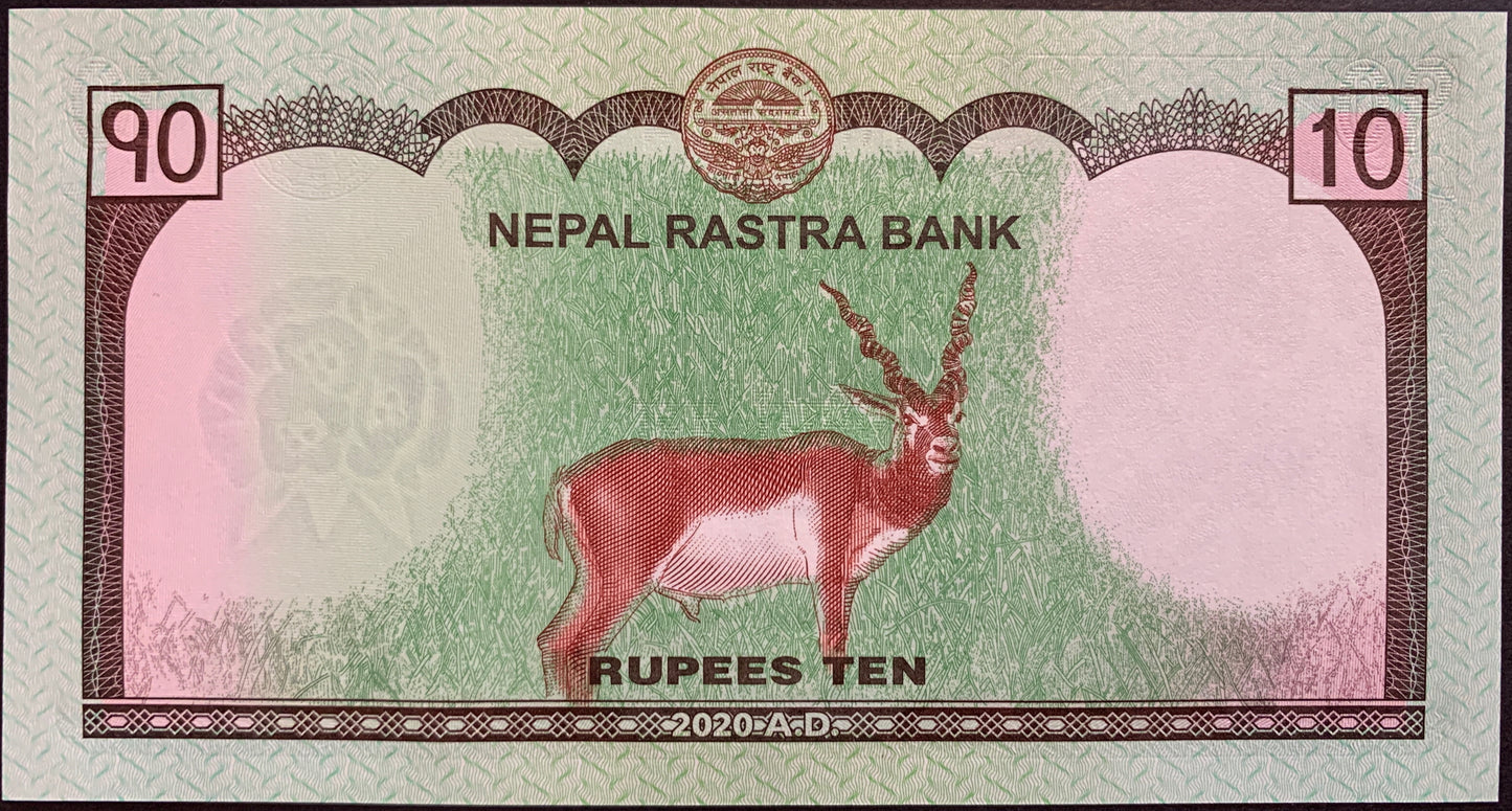 back of Nepal 10 Rupees 2020 P-77b collectible banknote with Black Buck