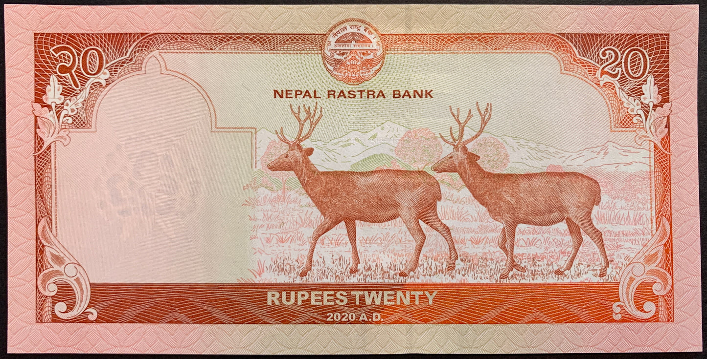 back of Nepal 20 Rupees 2020 P-78 collectible banknote with Sambar deer (Rusa unicolor), Himalayan mountains in the background