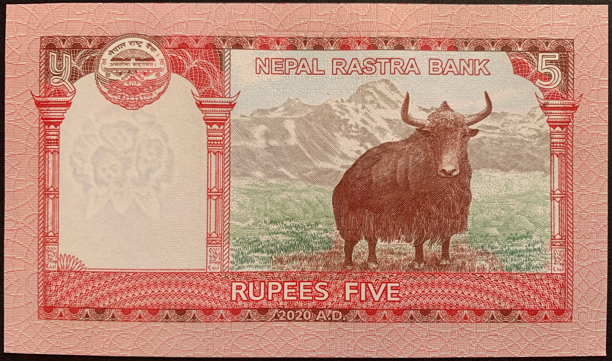 back of Nepal 5 Rupees 2020 P-76 collectible banknote with Wild Yak and Limi Himal of Humla