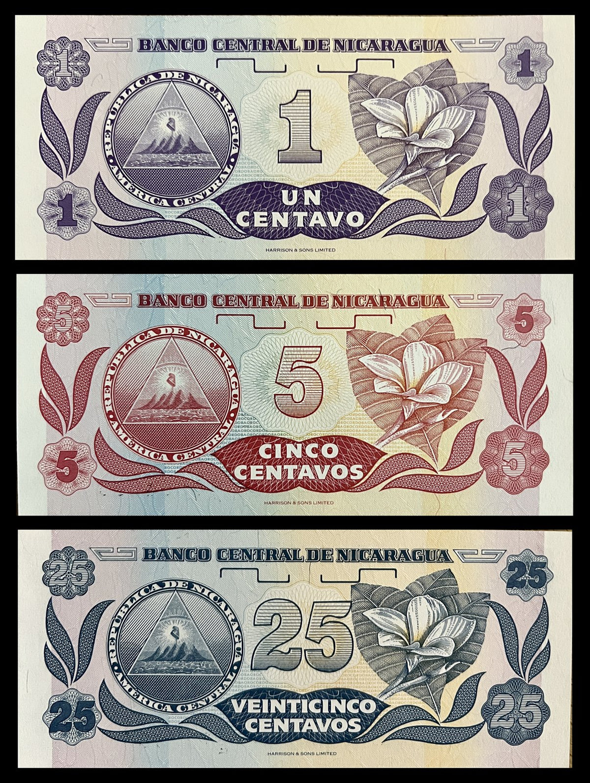 Back view of a 1991 Nicaragua 1, 5 and 25 Centavos banknote set showing the Nicaraguan coat of arms with five volcanoes and the Sacuanjoche national flower.