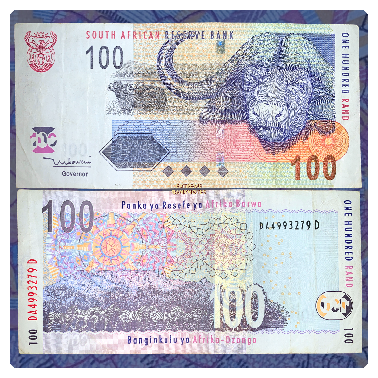 South African Big Five Wildlife Banknote Pair