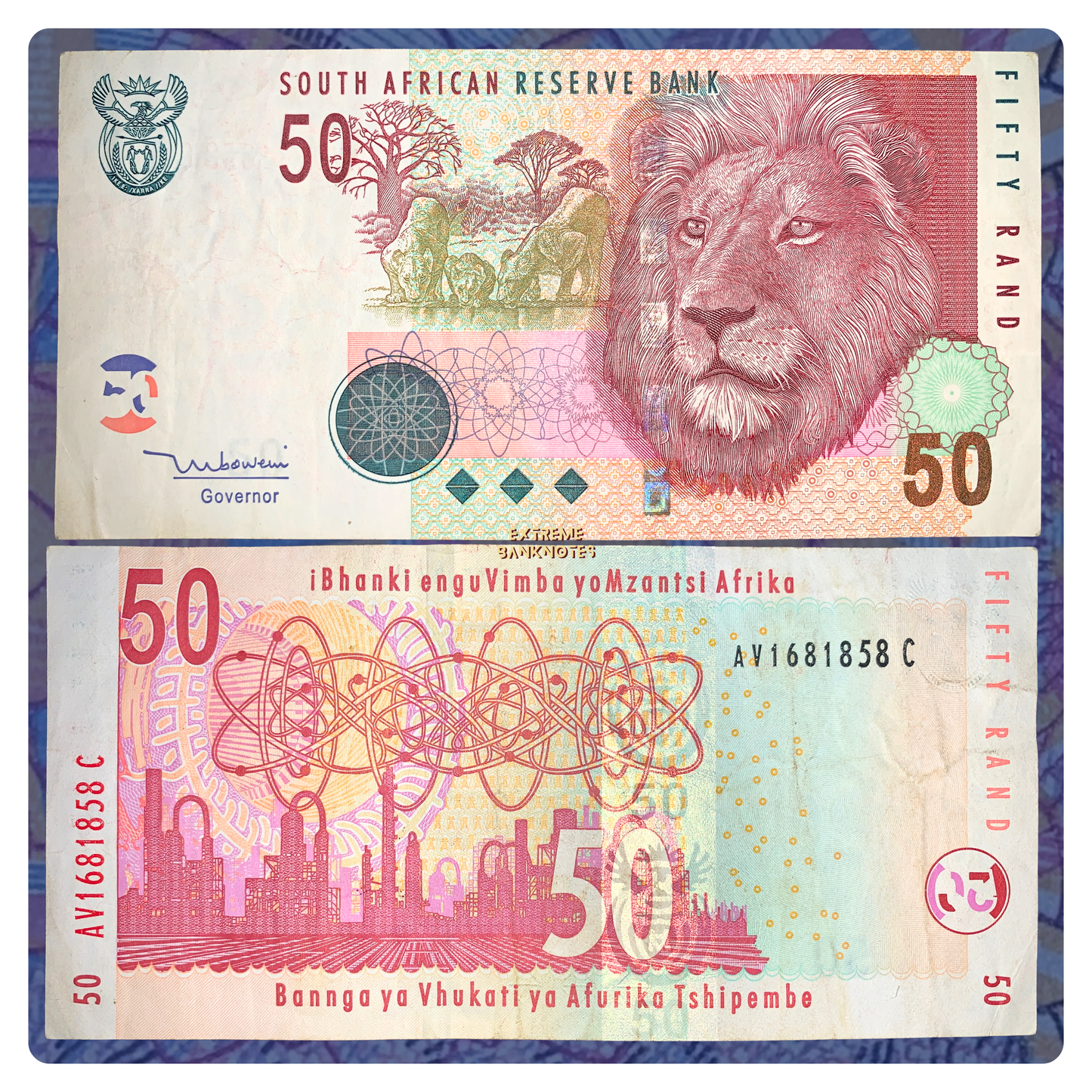 South African Big Five Wildlife Banknote Pair