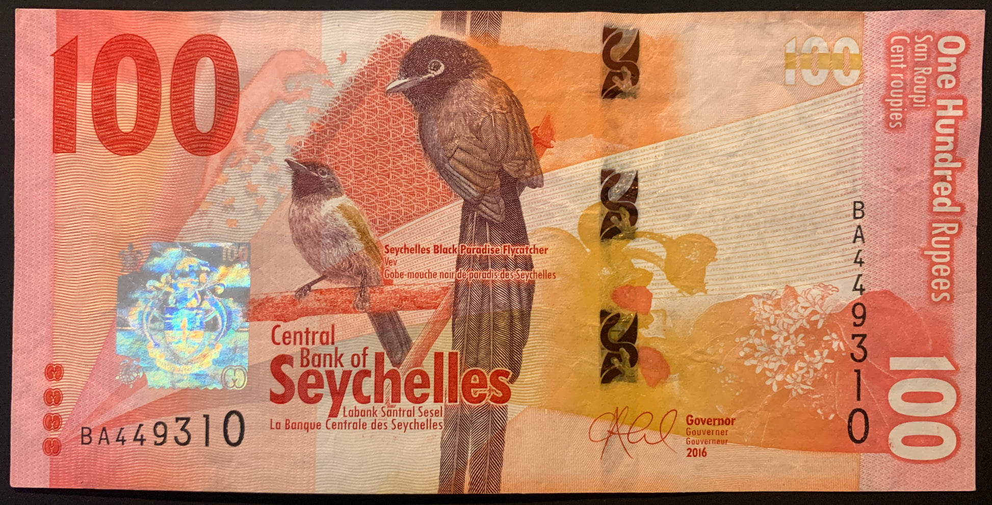 Seychelles 100 Rupees 2016 P-50 VF modern african collectible banknote with Black Paradise Flycatcher, Giant Bronze Gecko, and flowers