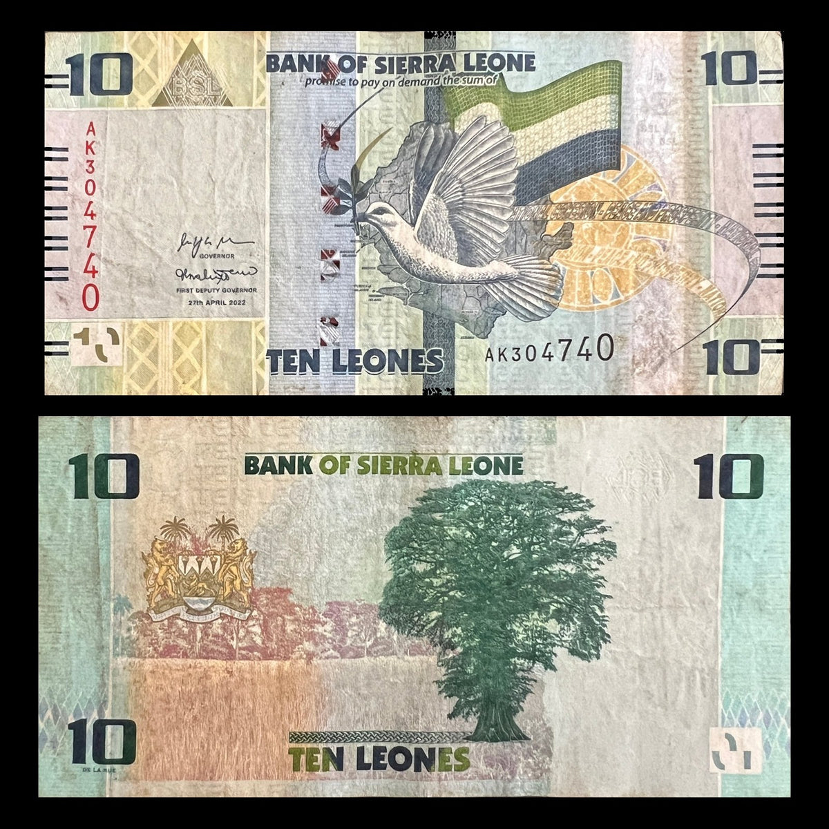 Sierra Leone 10 Leones 2022 VF banknote – front with a dove of peace over the map and flag, back with the Cotton Tree of Freetown