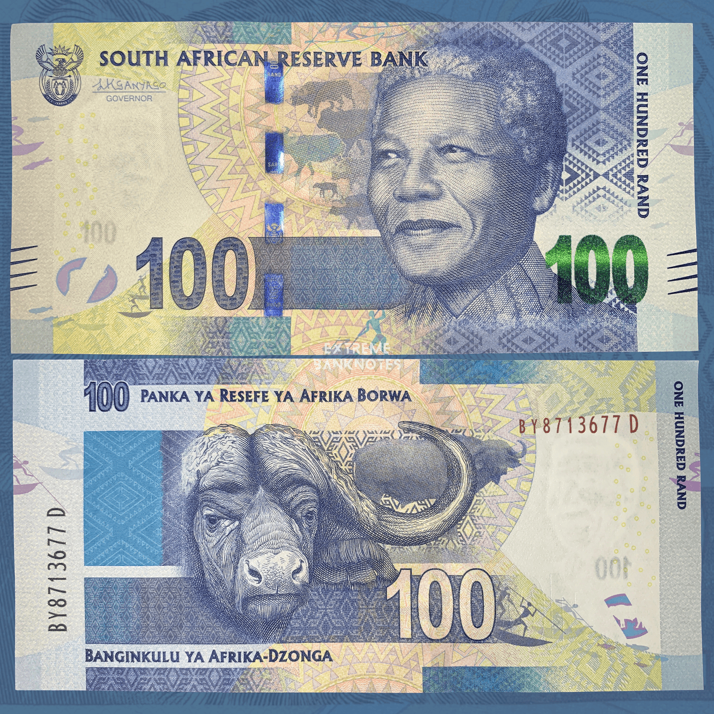 Front and back of South Africa 100 Rand banknote featuring Nelson Mandela on the obverse and an African buffalo on the reverse. The design includes blue and green engraved patterns, holographic security strip, multilingual South African Reserve Bank inscriptions, wildlife imagery, and advanced security features. Both sides of the banknote are displayed in full.