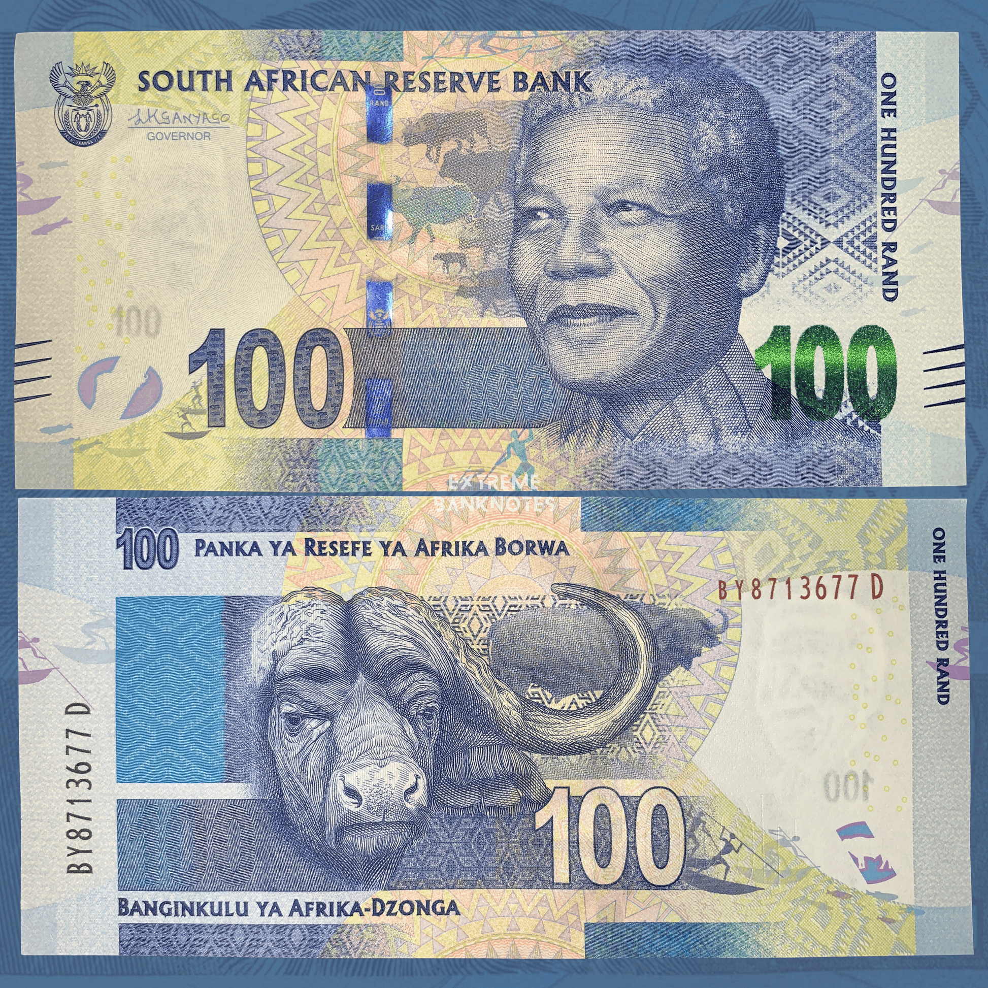 Front and back of South Africa 100 Rand banknote featuring Nelson Mandela on the obverse and an African buffalo on the reverse. The design includes blue and green engraved patterns, holographic security strip, multilingual South African Reserve Bank inscriptions, wildlife imagery, and advanced security features. Both sides of the banknote are displayed in full.