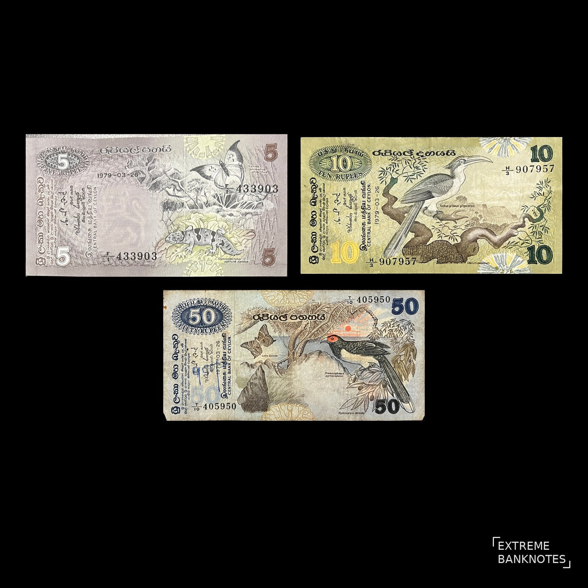Front view of circulated 1979 Ceylon (Sri Lanka) 5, 10 and 50 Rupees banknotes featuring a blue oakleaf butterfly, a grey hornbill and a red-faced malkoha.
