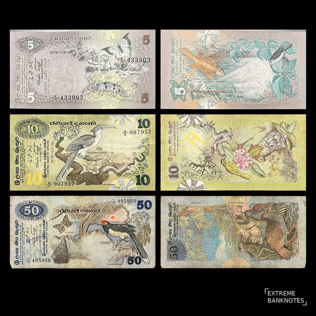 Ceylon (Sri Lanka) 3 banknote set 5, 10 and 50 Rupees 1979 VF-F – fronts with butterflies, a hornbill and a red-faced malkoha, vertical backs with Sri Lankan wildlife