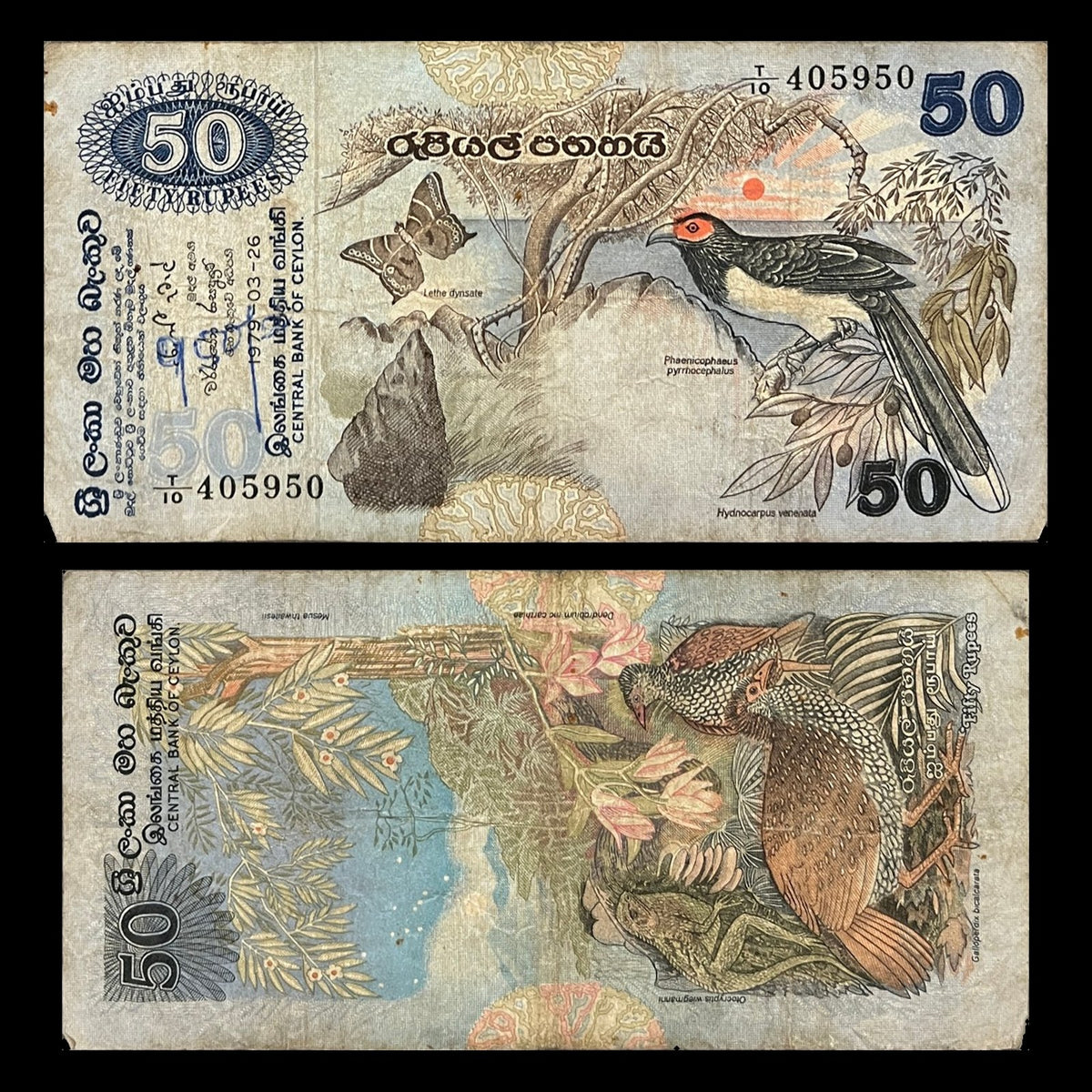 Ceylon (Sri Lanka) 50 Rupees 1979 P-87 VF-F banknote – front with a red-faced malkoha and forester butterfly, back with a pair of Ceylon spurfowl