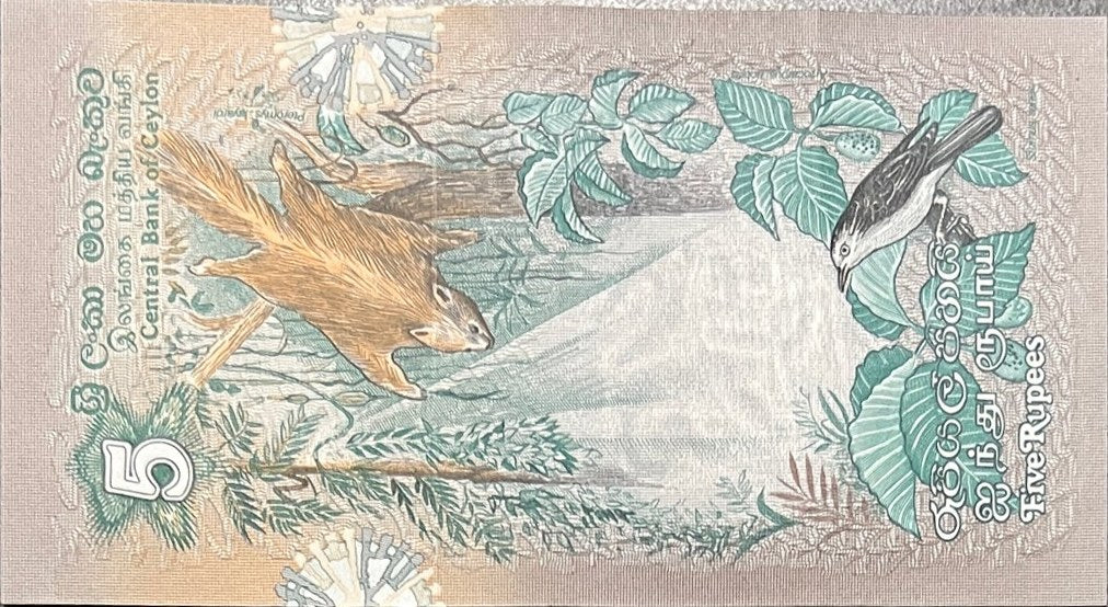 Back view of a 1979 Ceylon (Sri Lanka) 5 Rupees banknote showing a flying squirrel and a white-shouldered starling.