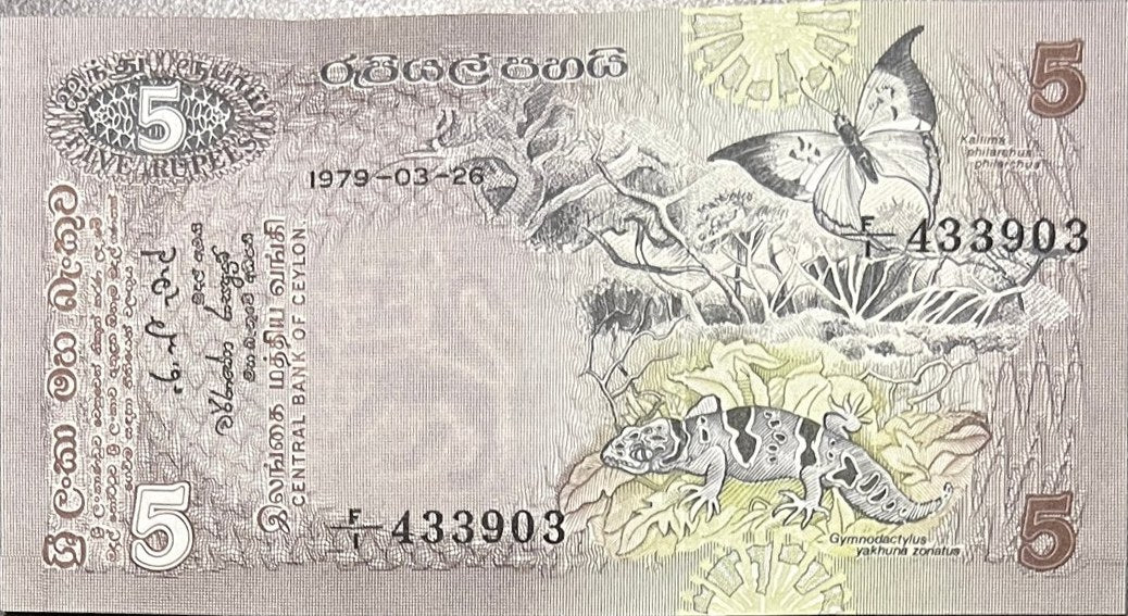 Front view of a circulated 1979 Ceylon (Sri Lanka) 5 Rupees banknote featuring a Ceylon blue oakleaf butterfly and a bow-fingered gecko.