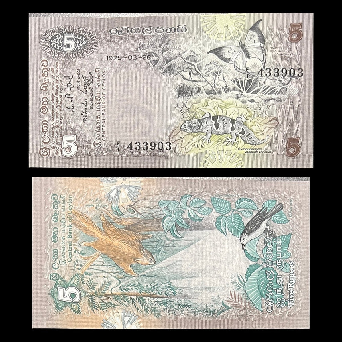 Ceylon (Sri Lanka) 5 Rupees 1979 P-84 VF-F banknote – front with a blue oakleaf butterfly and gecko, back with a flying squirrel and starling