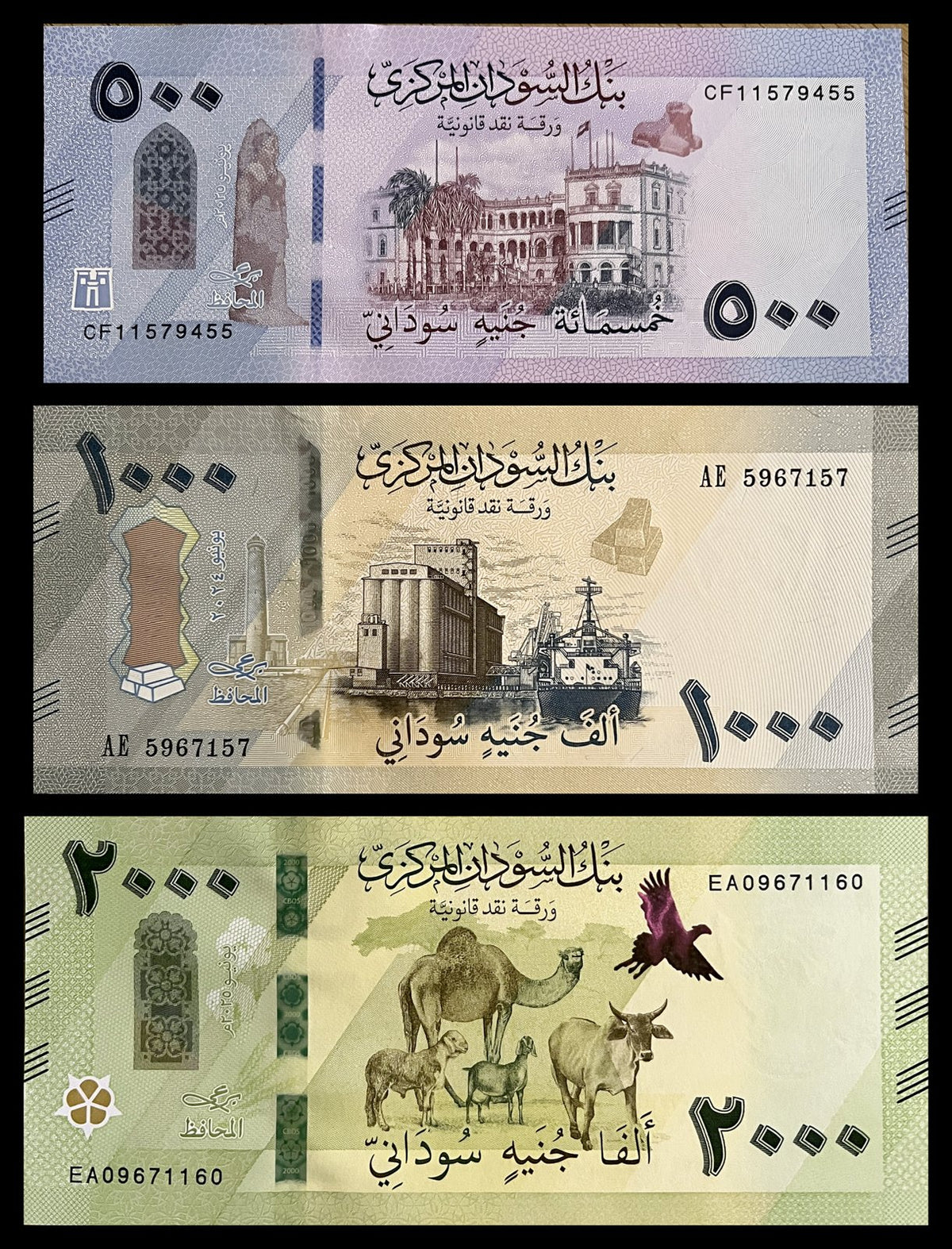 Front view of an uncirculated Sudan 500, 1000 and 2000 Pounds banknote set featuring the Republican Palace and Tabo statue, grain silos and a ship, and a camel with livestock and a secretary bird.
