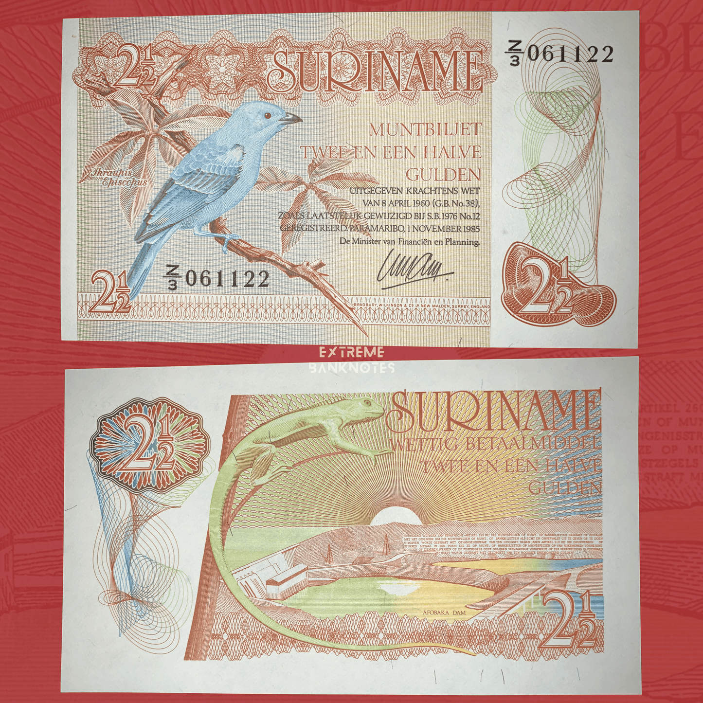 Obverse and reverse of an authentic Suriname 2½ Gulden banknote 1985 P-119 featuring a Blue Dacnis bird perched on a branch on the front and a green lizard above the Afobaka Dam on the reverse.