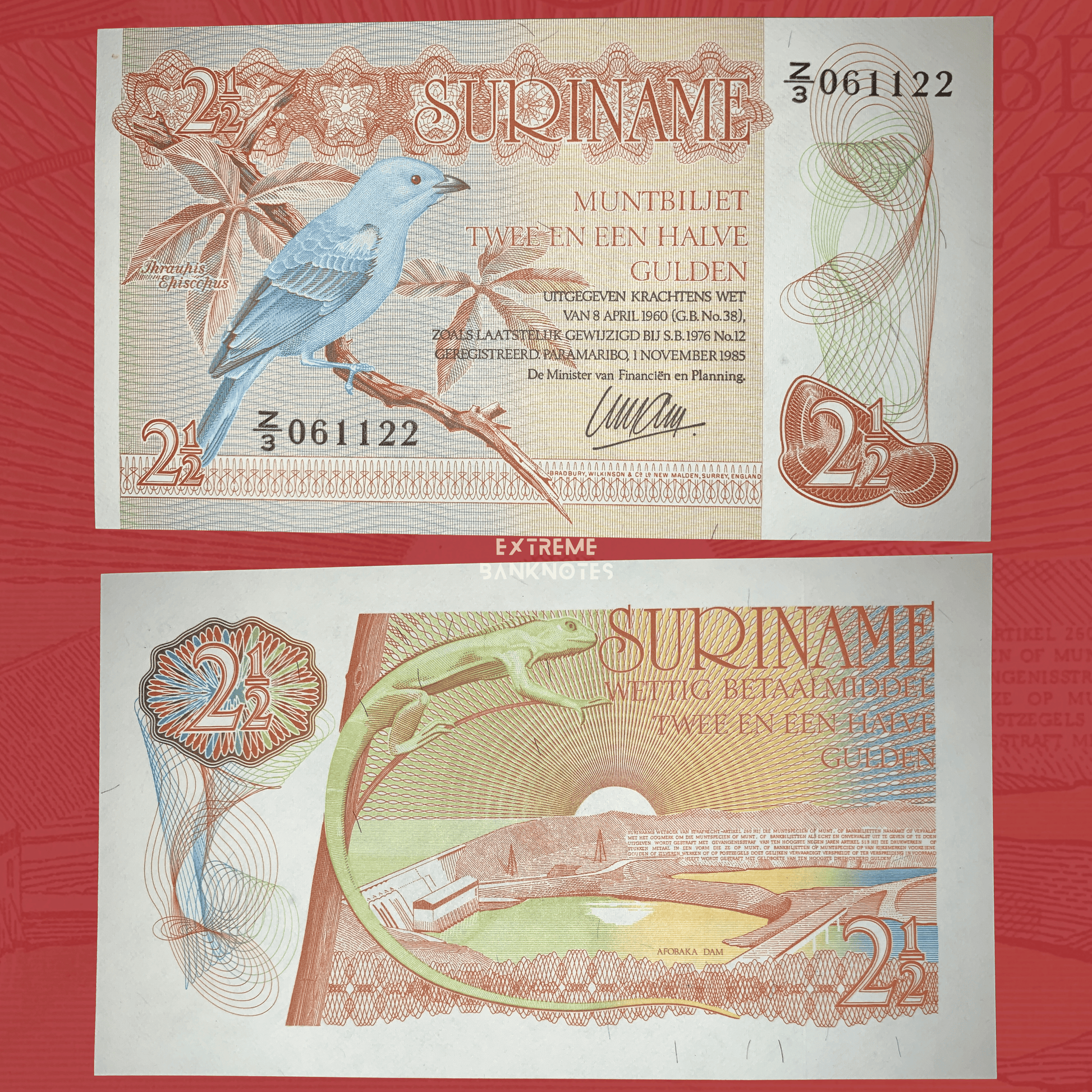 Obverse and reverse of an authentic Suriname 2½ Gulden banknote 1985 P-119 featuring a Blue Dacnis bird perched on a branch on the front and a green lizard above the Afobaka Dam on the reverse.