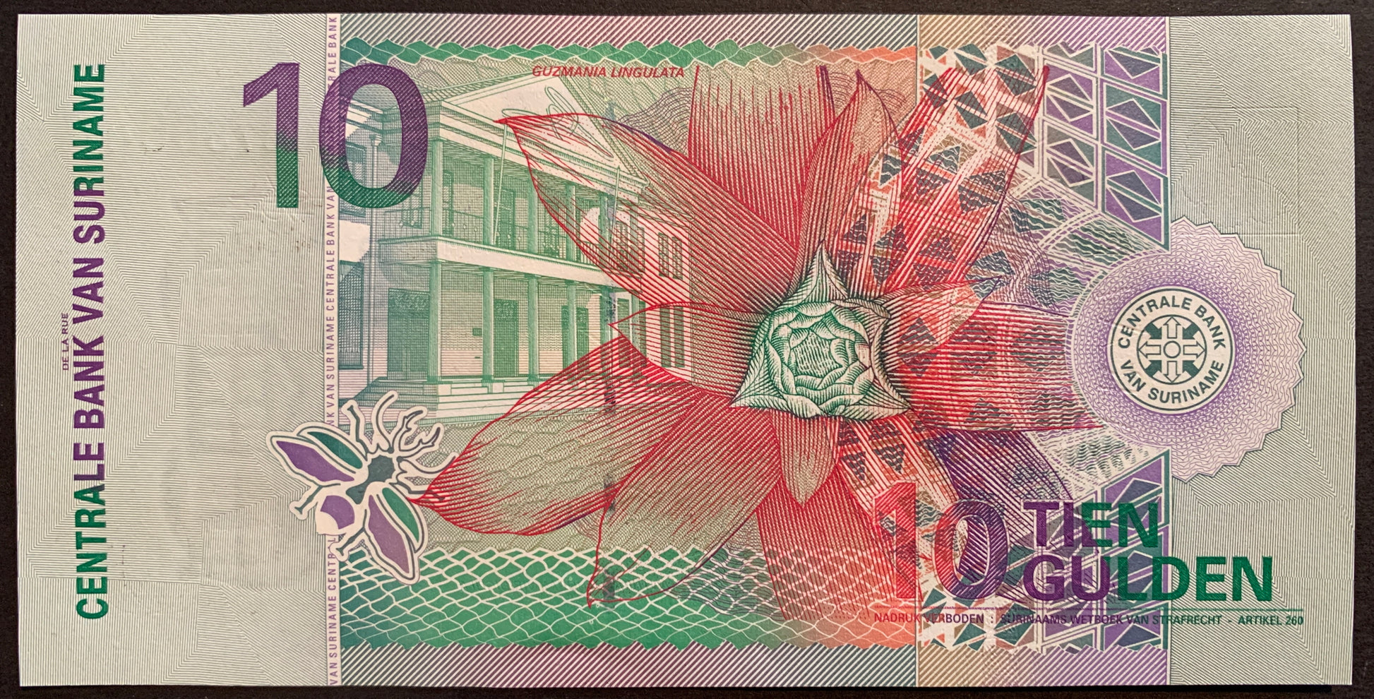 back of Suriname 10 Gulden 2000 P-147 collectible banknote with Scarlet Star flower (guzmania lingulate) over the Central Bank Building in the background