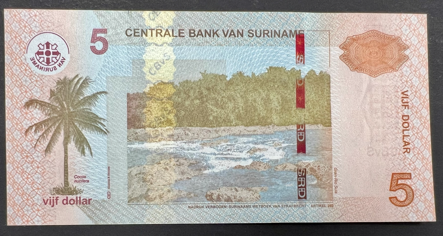 Suriname 5 Dollars banknote P-162b (2012) reverse featuring a coconut palm (Cocos nucifera), the rapids of Gran Rio Sula surrounded by tropical rainforest, Central Bank logo, denomination, and finely detailed multicolor guilloche security patterns.