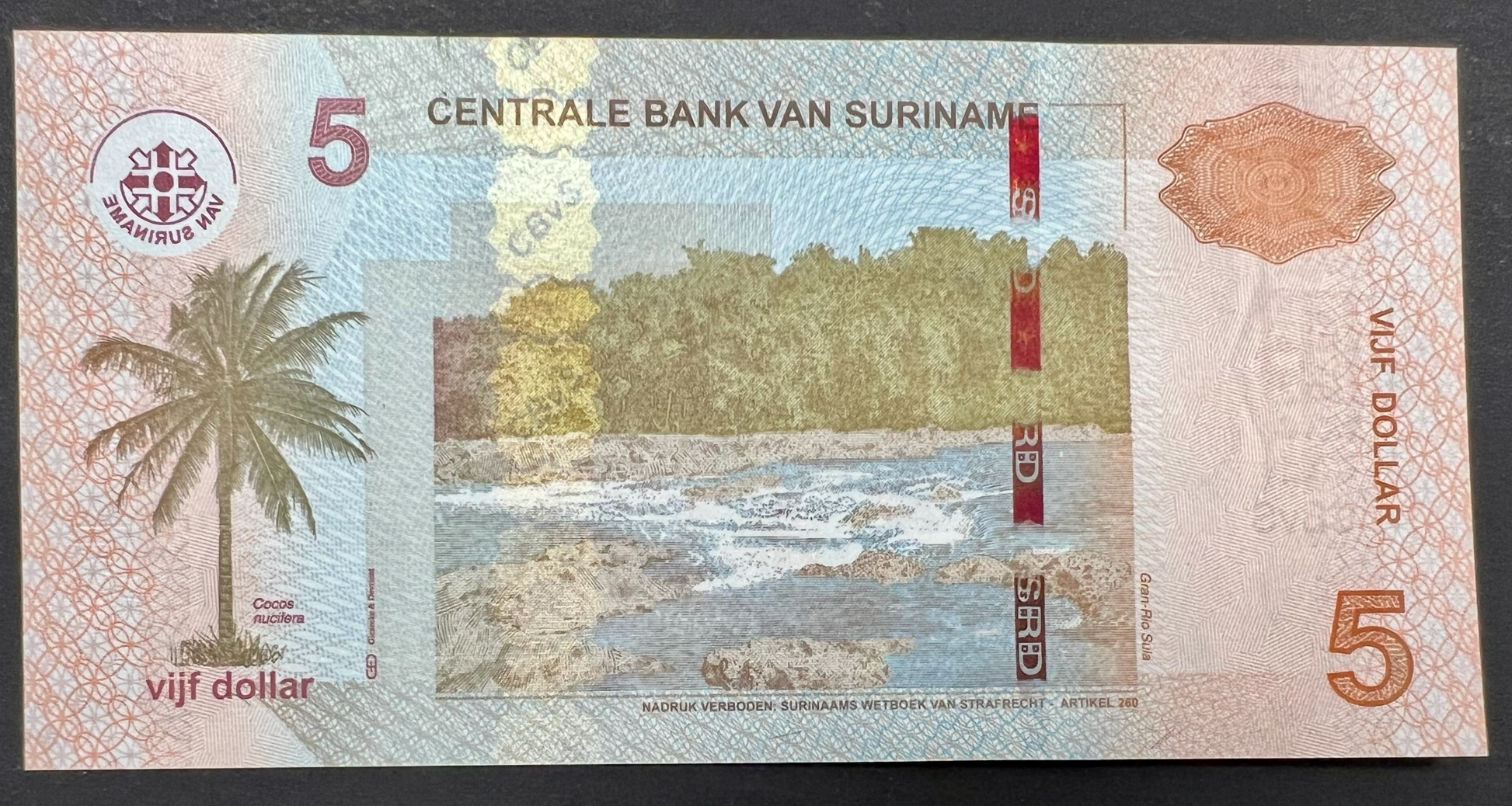 Suriname 5 Dollars banknote P-162b (2012) reverse featuring a coconut palm (Cocos nucifera), the rapids of Gran Rio Sula surrounded by tropical rainforest, Central Bank logo, denomination, and finely detailed multicolor guilloche security patterns.