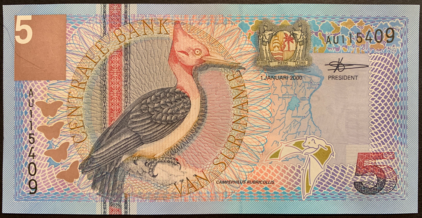 front of Suriname 5 Gulden 2000 P-146 collectible banknote with Red-necked woodpecker