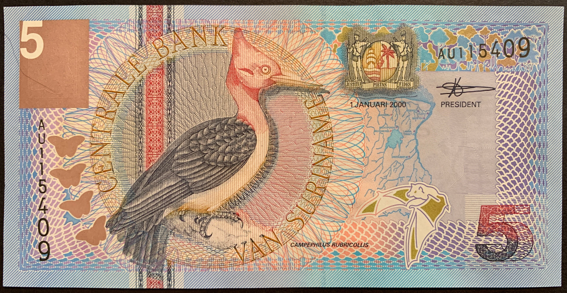 front of Suriname 5 Gulden 2000 P-146 collectible banknote with Red-necked woodpecker