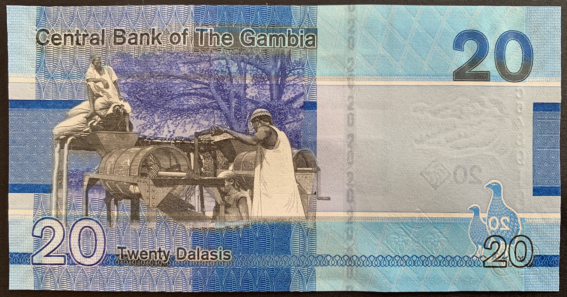 back of The Gambia 20 Dalasis 2023 collectible banknote with men working on milling machine