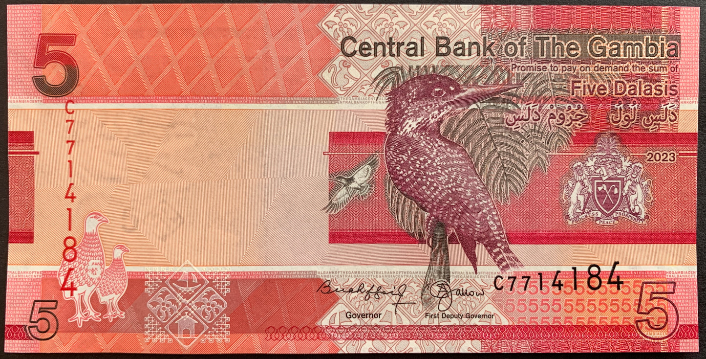 front of The Gambia 5 Dalasis 2023 collectible banknote with giant kingfisher