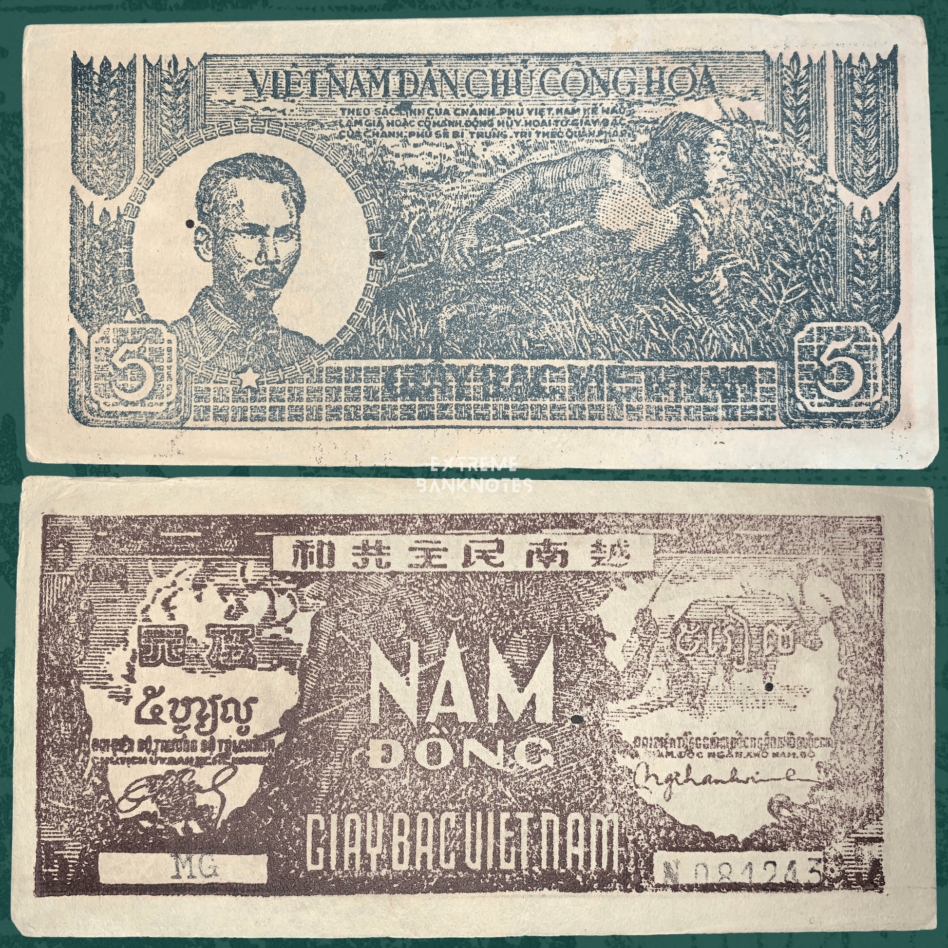 Front and back of an authentic Vietnam 5 Dong 1948 P-17a3 banknote displayed together, featuring Nguyễn Ái Quốc (Ho Chi Minh), a rice harvester, multilingual inscriptions, and the "Năm Đồng" denomination on the reverse.
