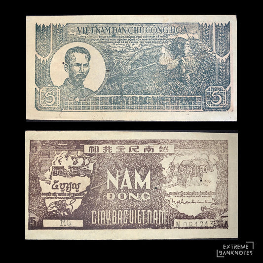 Front and back of an authentic Vietnam 5 Dong 1948 P-17a3 banknote displayed together, featuring Nguyễn Ái Quốc (Ho Chi Minh), a rice harvester, multilingual inscriptions, and the "Năm Đồng" denomination on the reverse.