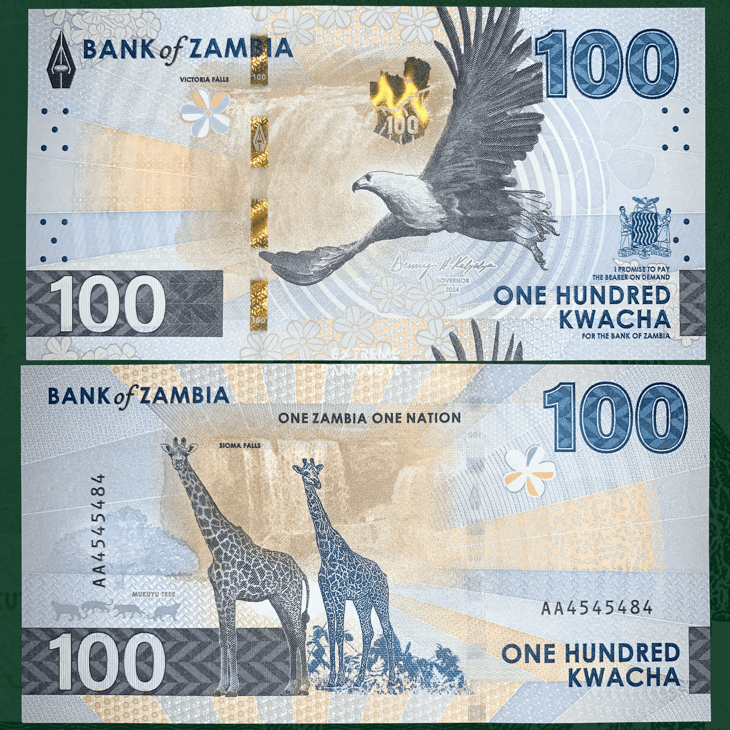 100 Kwacha banknote from Zambia with an eagle and giraffes on a green background