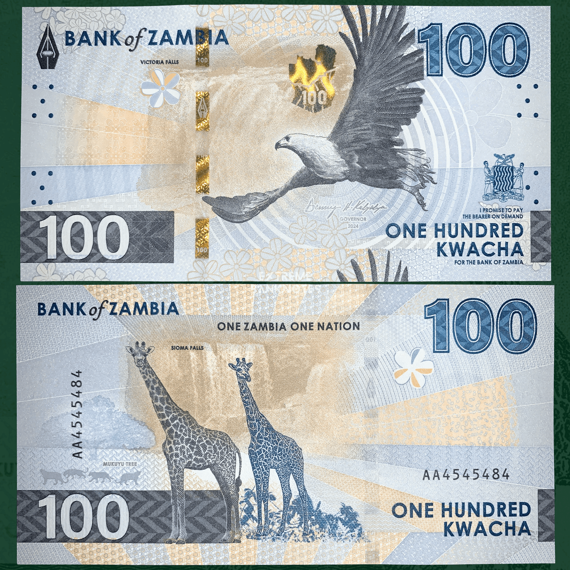 100 Kwacha banknote from Zambia with an eagle and giraffes on a green background