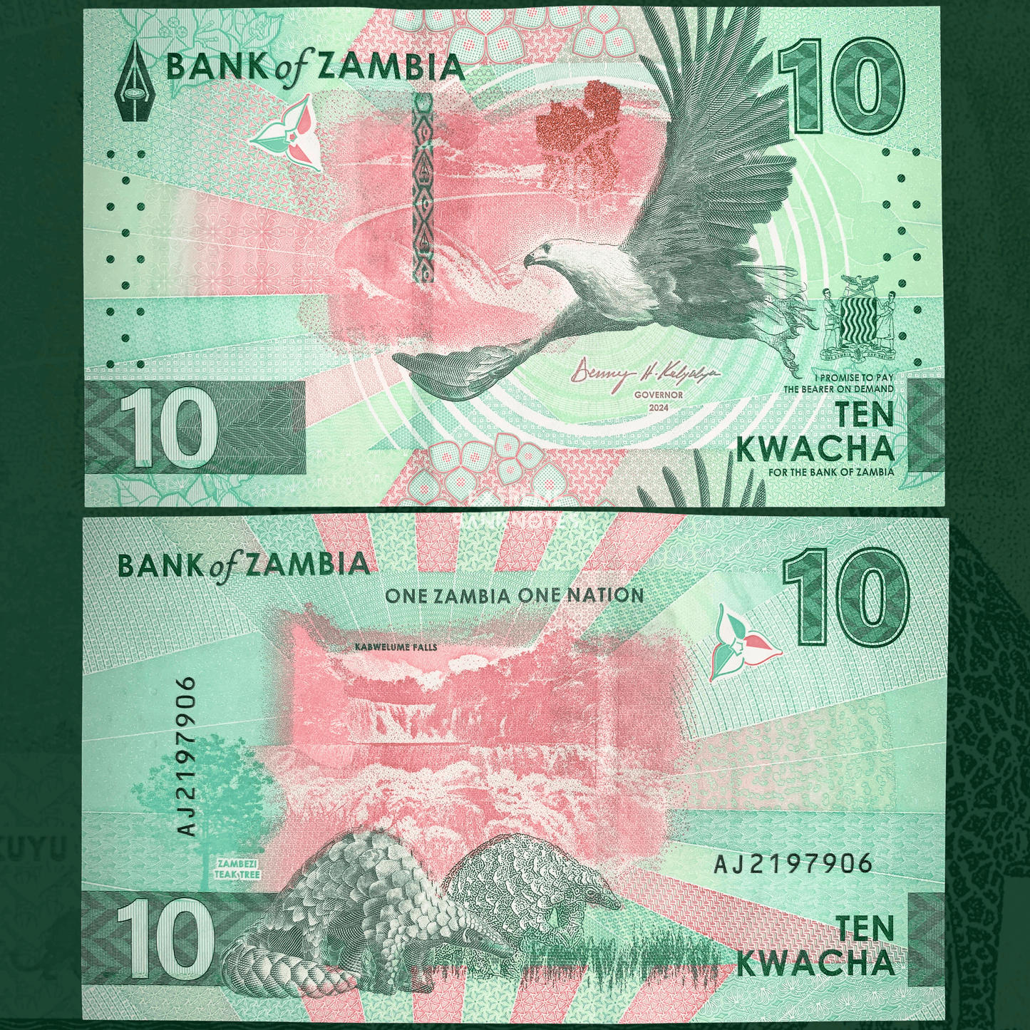 front and back of Zambia 10 Kwacha 2024 UNC modern collectible banknote with fish eagle and Pangolins