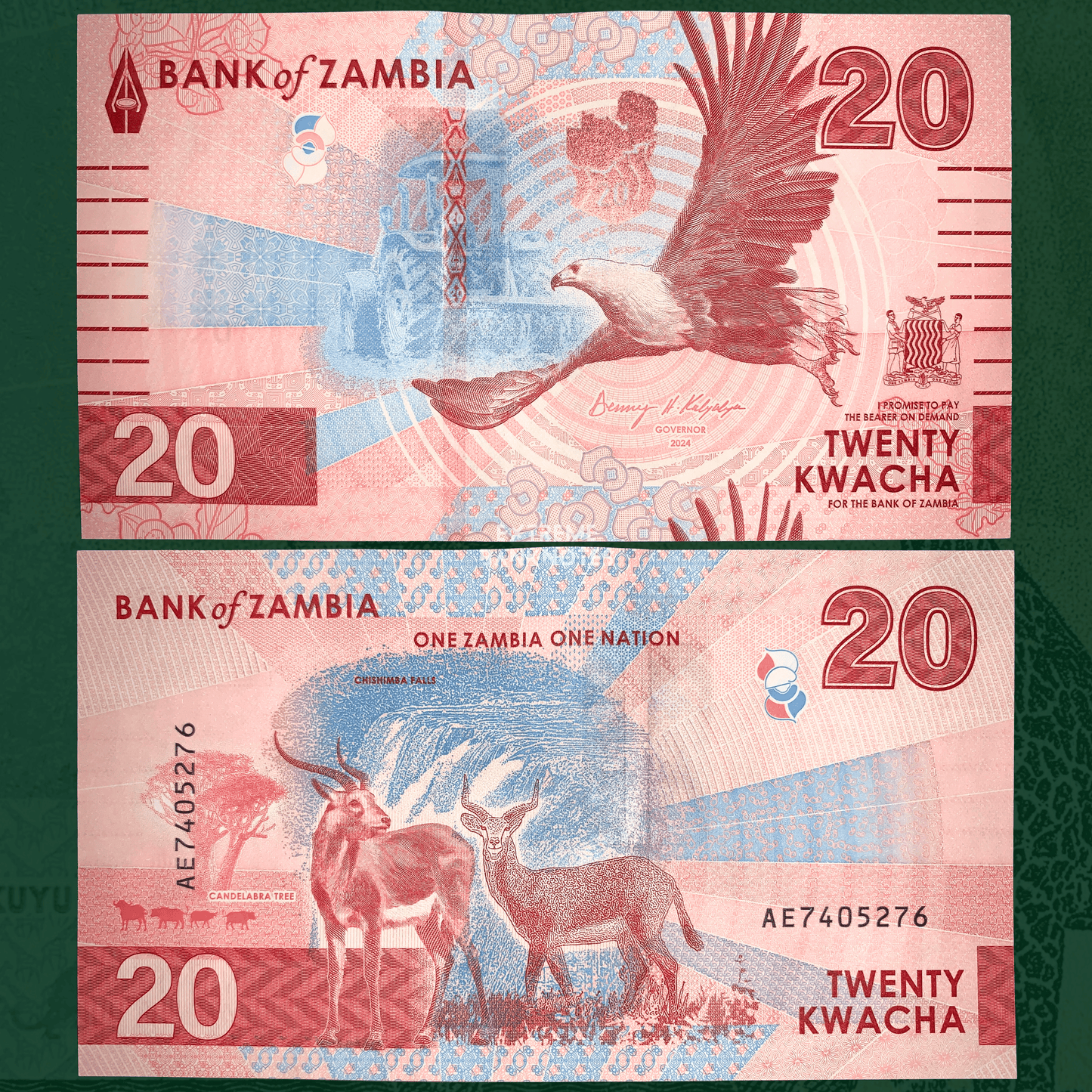 front and back of Zambia 20 Kwacha 2025 UNC modern collectible banknote with fish eagle and antelopes