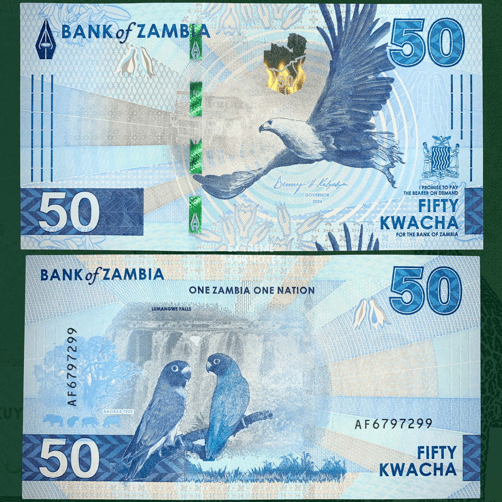 front and back of Zambia 50 Kwachas 2024 UNCcollectible modern banknote with fish eagle and parrots