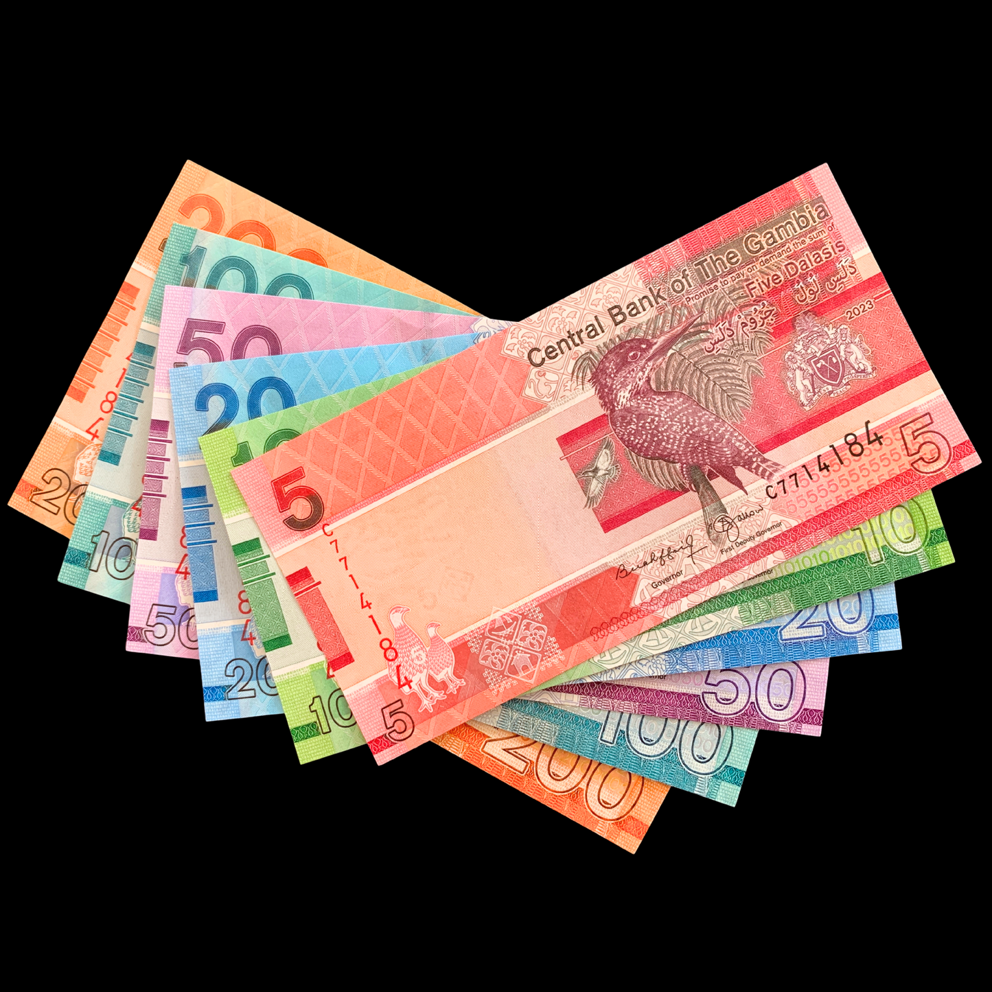The Gambia Modern Banknote Bundle on black background