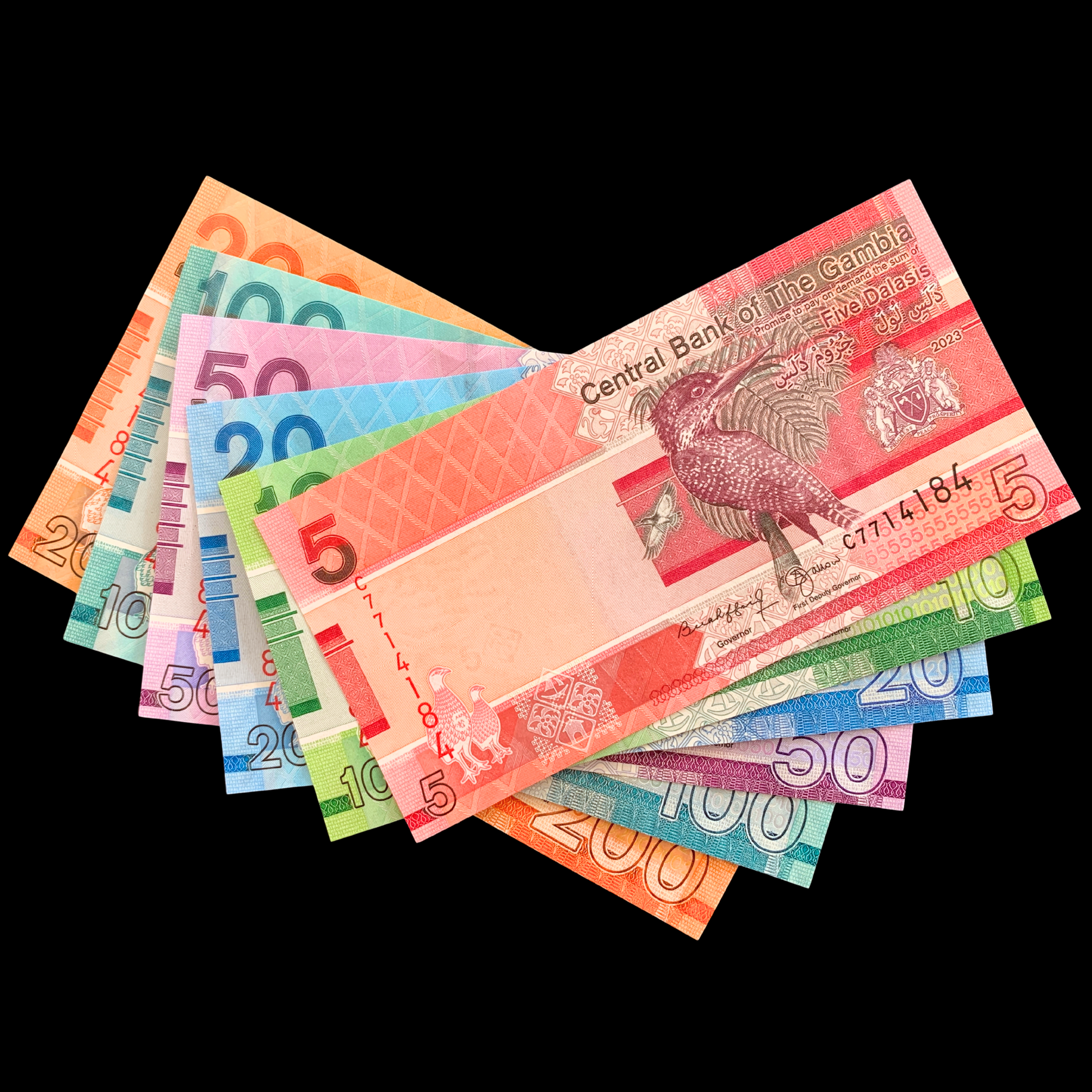 The Gambia Modern Banknote Bundle on black background