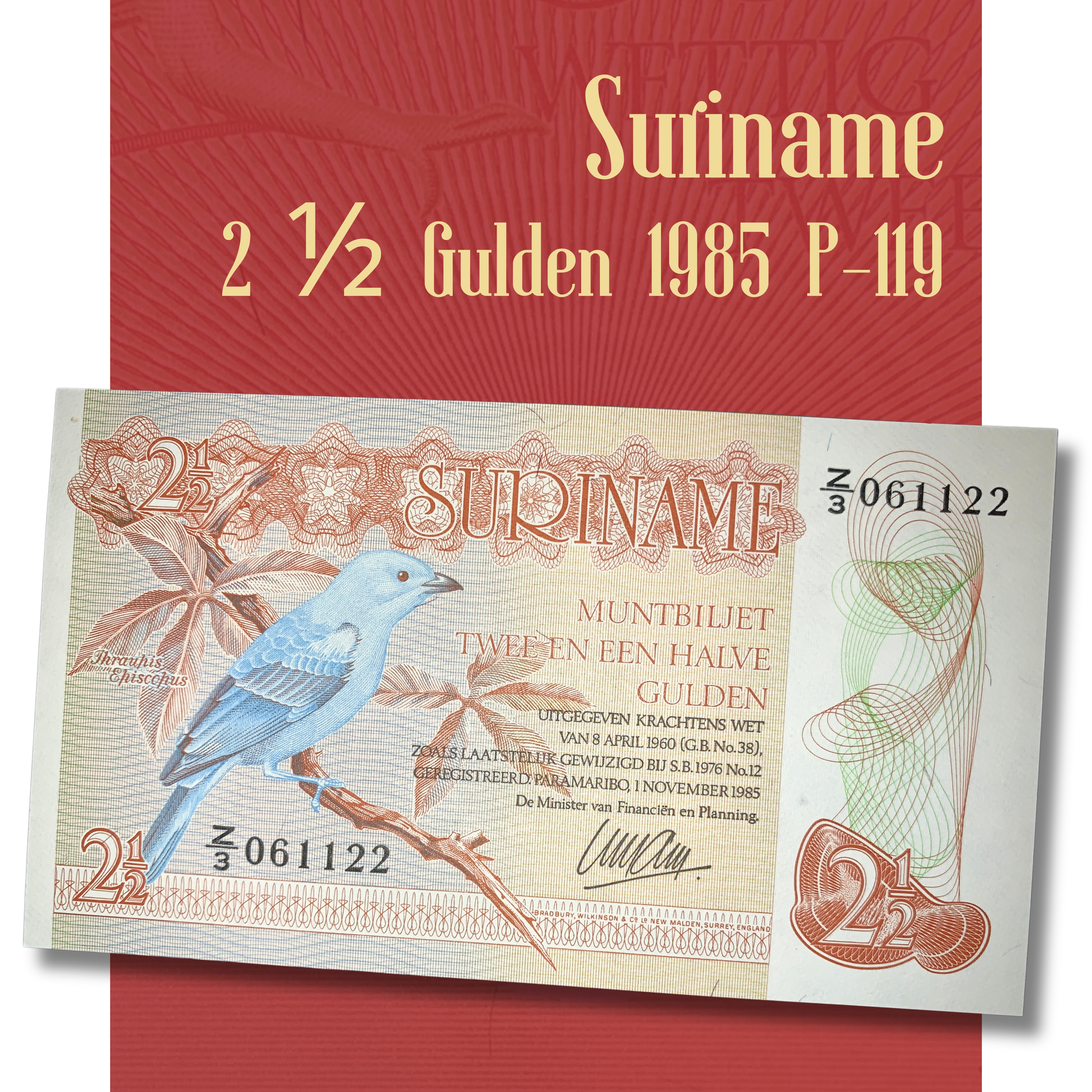 Suriname 2½ Gulden banknote 1985 P-119 collectible paper money featuring a Blue Dacnis bird on the obverse, displayed on a red background with product title.