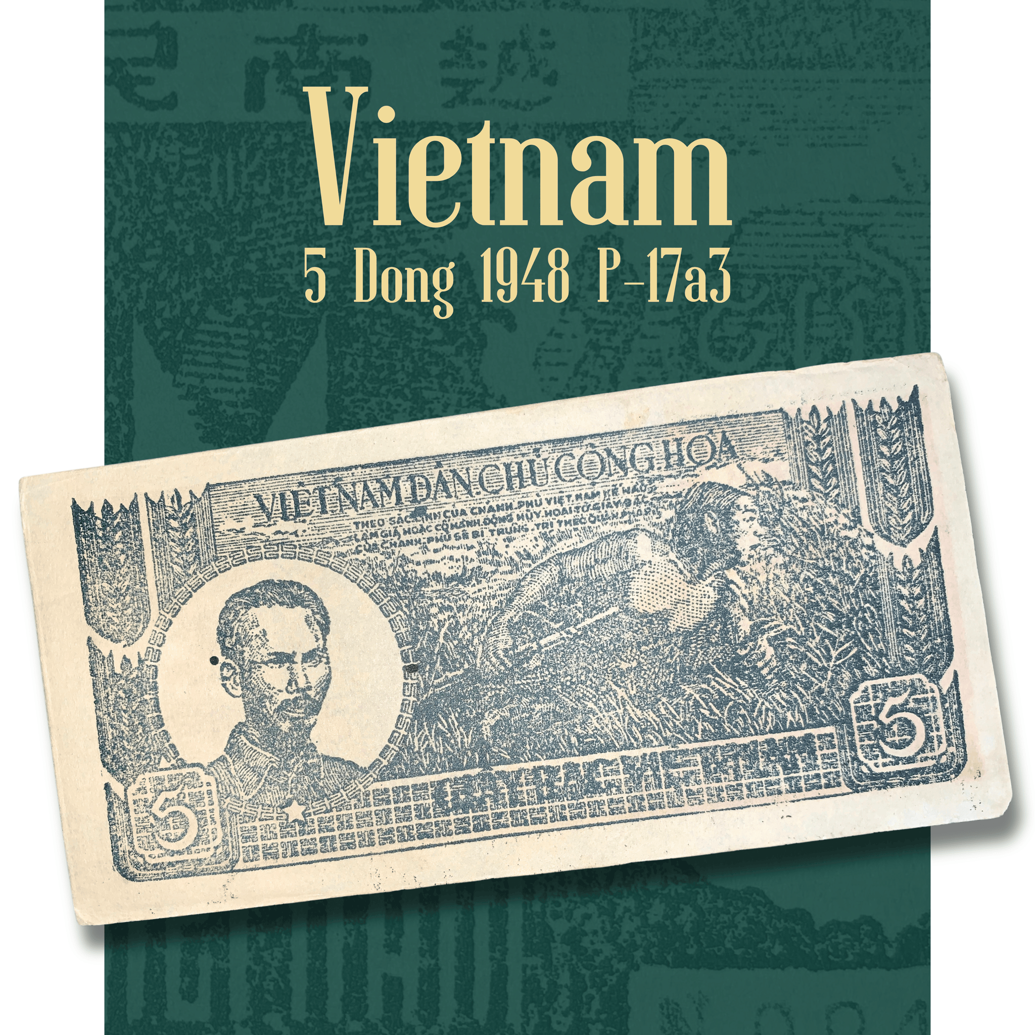 Authentic Vietnam 5 Dong 1948 P-17a3 banknote displayed in a rotating video, showcasing both the obverse with Nguyễn Ái Quốc (Ho Chi Minh) and a farmer harvesting rice, and the multilingual reverse featuring "Năm Đồng" denomination and intricate engraved details.