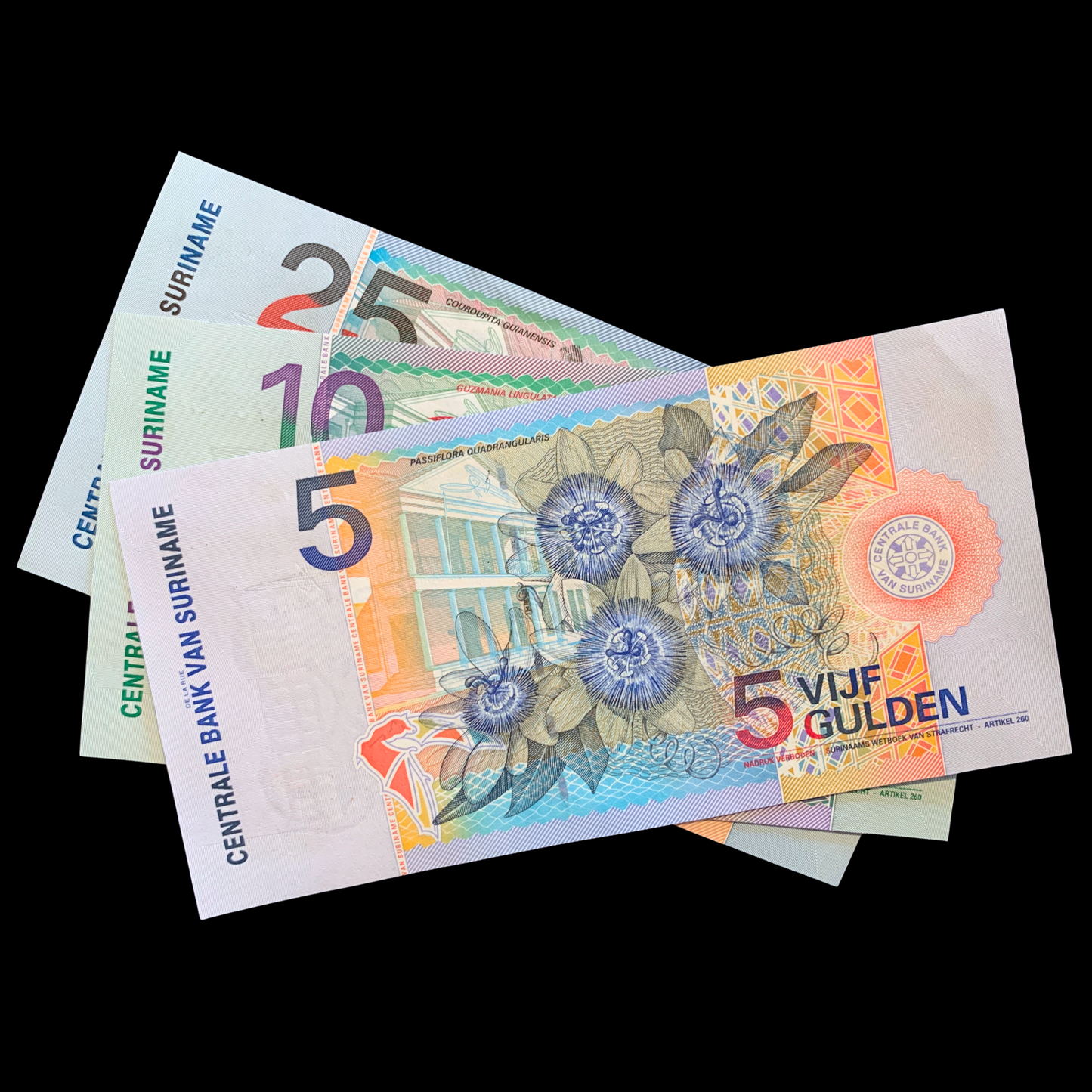 Surinamese gulden banknotes with floral design on a black background